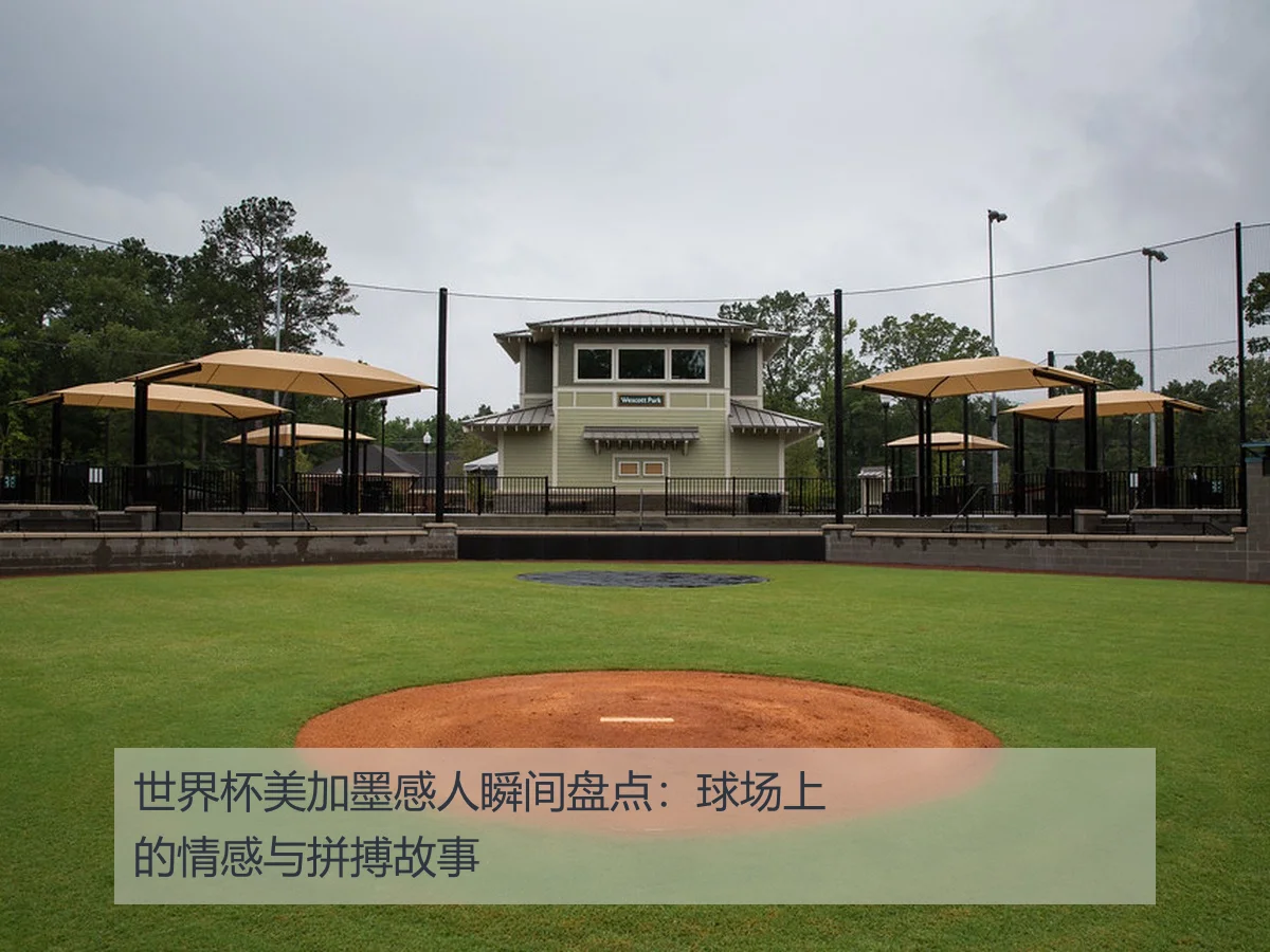 世界杯美加墨感人瞬间盘点:球场上的情感与拼搏故事
